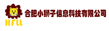 合肥小獅子信息科技有限公司